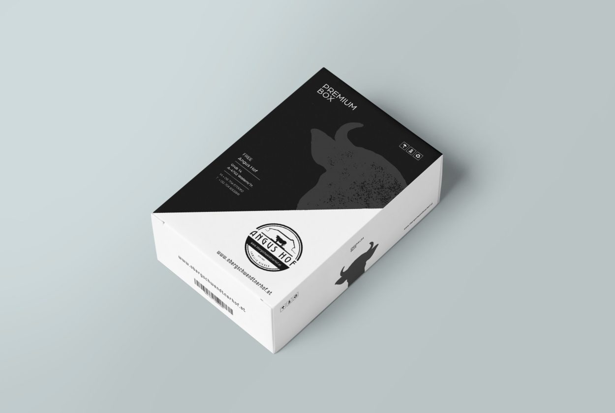 Binder_Box-Design-SW-scaled